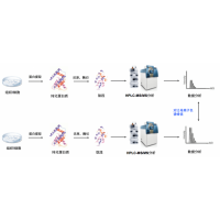 Label Free定量蛋白質(zhì)組學