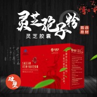 海奧圣 破壁靈芝孢子粉膠囊 中老年人保健品